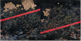  Lowtech #Gamebrutalism # Contemporary Art #2023 # Holzschnitt # Lippold, Kupferstichkabinett, # Schloss Scharfenberg # Dresden # Contemporary # Art # Kunst # Malerei# flatness describes how the invention of the Internet has restructured global society. At its origin, its promise was a social revolution founded on intersectional equality and universal democracy. It is our contention that that promise may yet be fully realized. More information Minimalismus neu abstrakt art abstract art contemporary, Kunst, Installation, Art, Holzschnitt Abstraktion und Figuration movie Film, Fotografie, Malerei, Grafik, Installation, jung drawing, 2023 connektion, black painting, Technoligie Galerien Kunstmesseschwarze Bilder, print, # Malerei Holzschnitt Dresden #Bildschirm, deutscher Maler und Bildhauer paintingLinien Netz, Matrix, Bild , # Malerei # Romantik, Malerei Holzschnitt # konzept, Druck, Holz, Baden-Baden , Raum, Burda Museum Kunsthalle , Raum # Holzschnitt Woodcut Wade Guyton ,Jeff Koons or # Damian Hirst David Ostrowski # Licht Woodcat,variety of media, including sculpture, Holzschnitt dravingPiranesi, # Tafelbild , Diamondpaper , # Baden-Baden# Dresden # Puplikation , Katalog , Deitschland Schweiz Kunst Message,# Holzschnitt # Contemporary Art, Holzschnitt Grafik 3D, # zeitgenössische Kunst, Holzschnitt # junge Kunst # , 3D, # modern Painting, , collage, graphic sculpture, acrylic Information # Holzschnitt # Dresden #Art Art Holzschnitt # Abstract Painting # Abstrakt gegenständlich,# SWR 2 , # Carsten Otte zeitgenössisch #Holzschnitt # # contemporary # Woodcut #Art # , # Baden-Baden,# ZKM ,# Figur Figura #, Farbe, Poesie Künstler Werk Erzählungen , die Idee digital Verlag, Information ganzes Leben, Malerei # Subjekt 2022 connektion, black # painting, schwarze Bilder, # print, Bildschirm, Linien Netz, Matrix, Bildschirmfoto 2023